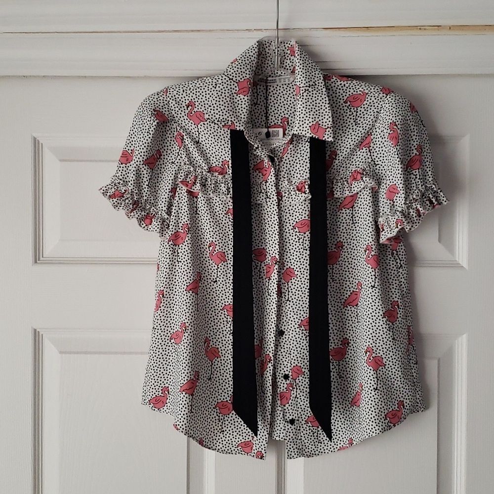 ZARA Flamingo Blouse